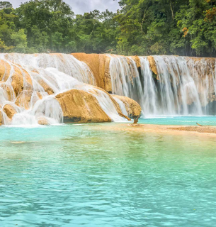 Servicio de Administración Tributaría en Chiapas